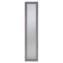 Фасад двери с зеркалом 48х2,2х216 серый Парма Нео Кураж